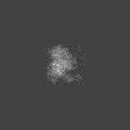 Input-1VOM-N-P.png
