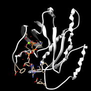 Outdata-pdbOneProteinGet.png