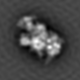 Outdata-SinWin-mrcImageMultiCTFCompensation.png
