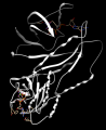 Thumbnail for version as of 23:50, 7 August 2014