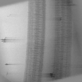 Thumbnail for version as of 02:38, 20 August 2014