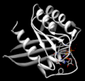 121p.100xyz-pdbRotation.png