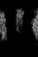 Thumbnail for version as of 03:03, 4 August 2014