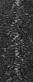 Thumbnail for version as of 02:39, 31 July 2014