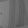 Thumbnail for version as of 02:39, 20 August 2014