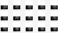 Thumbnail for version as of 00:43, 6 August 2014