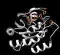Thumbnail for version as of 01:35, 18 August 2014