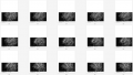 Thumbnail for version as of 00:42, 6 August 2014
