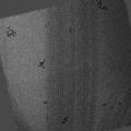 Thumbnail for version as of 02:39, 20 August 2014
