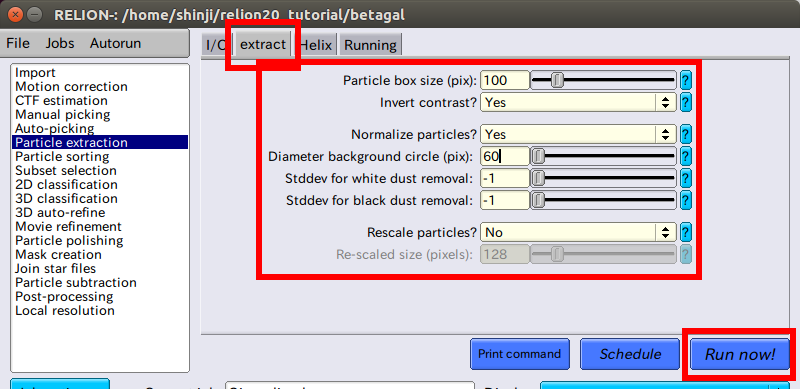 relion-ParticleExt-extract.png