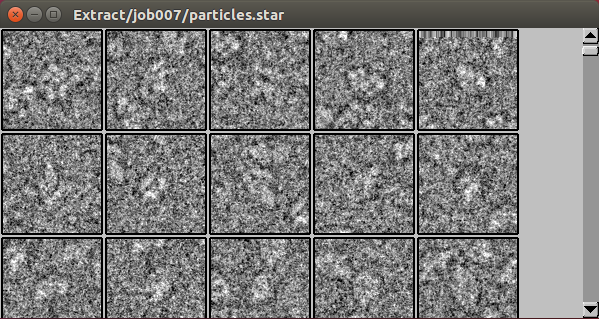 relion-ParticleExt-Display.png