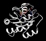 Inputdata-pdbSecondaryStructurePrint.png