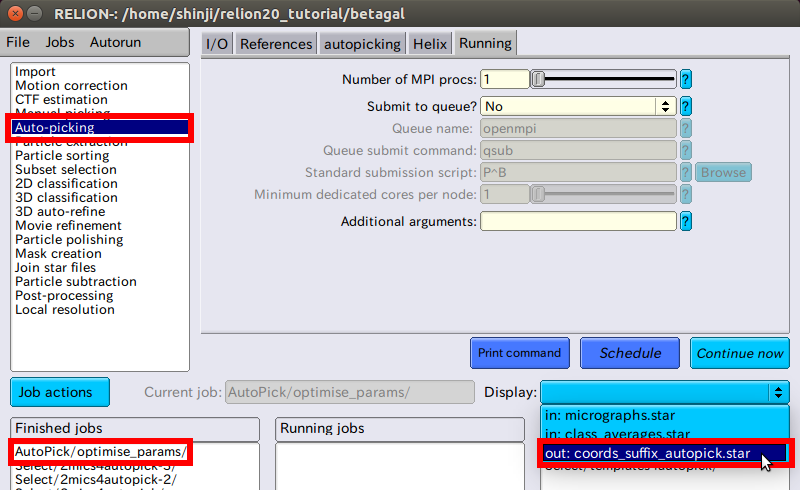 relion-AutoPicking-Display.png