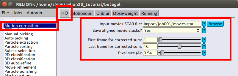 relion-motionCorrection-IO.png