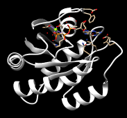 121p-shift-PDB.png