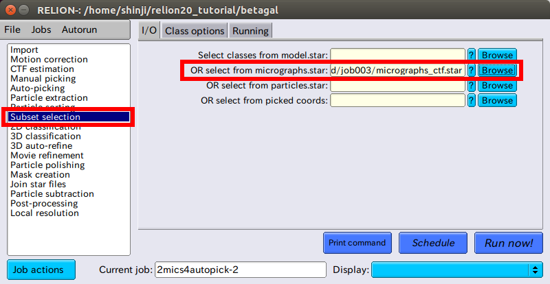 relion-AutoPicking-SubsetSelection-IO-2.png