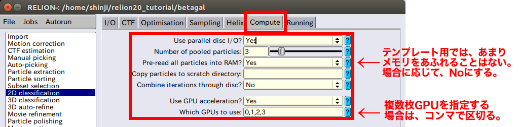 relion-2Dclass-Compute.png