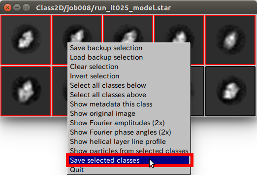 relion-SubsetSelection-Display.png