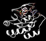 Outdata2-pdbTwoProteinFit.png