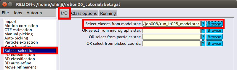 relion-SubsetSelection-IO.png