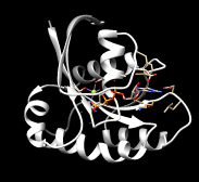 Input-121P-PDB1.png