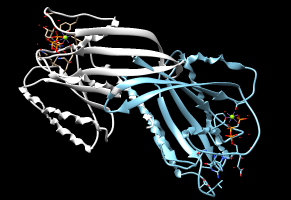 Outdata1-pdbTwoProteinFit.png