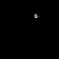 2013年11月13日 (水) 03:00時点における版のサムネイル
