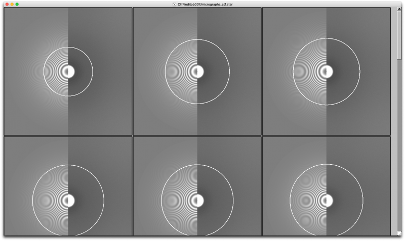 ファイル:ctf-disp2.png