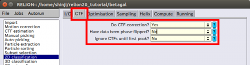 relion-2Dclass-CTF.png