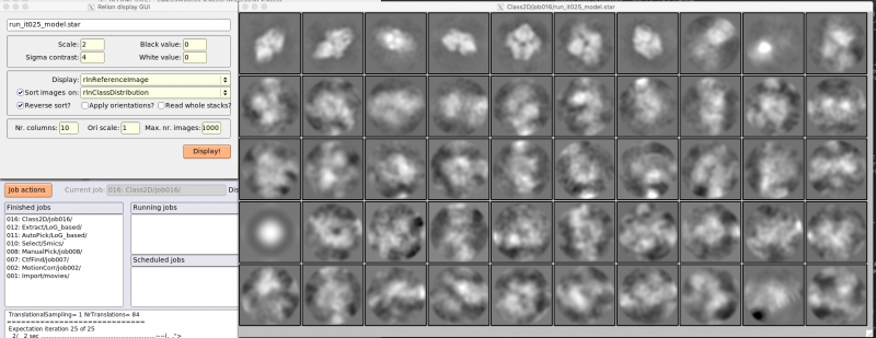 ファイル:rln-class2d-log-result.png