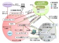 2013年3月16日 (土) 23:45時点における版のサムネイル