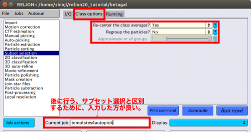 relion-SubsetSelection-ClassOptions.png