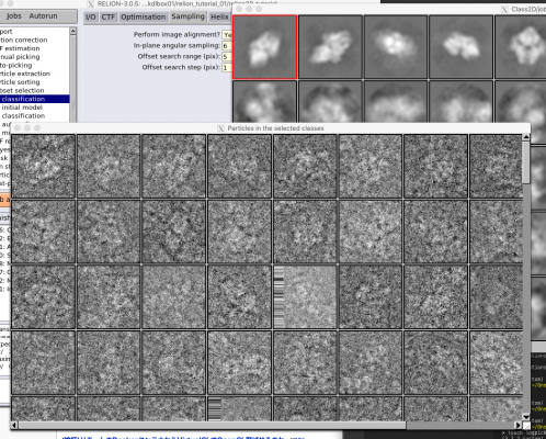 rln-class2d-log-result2.png