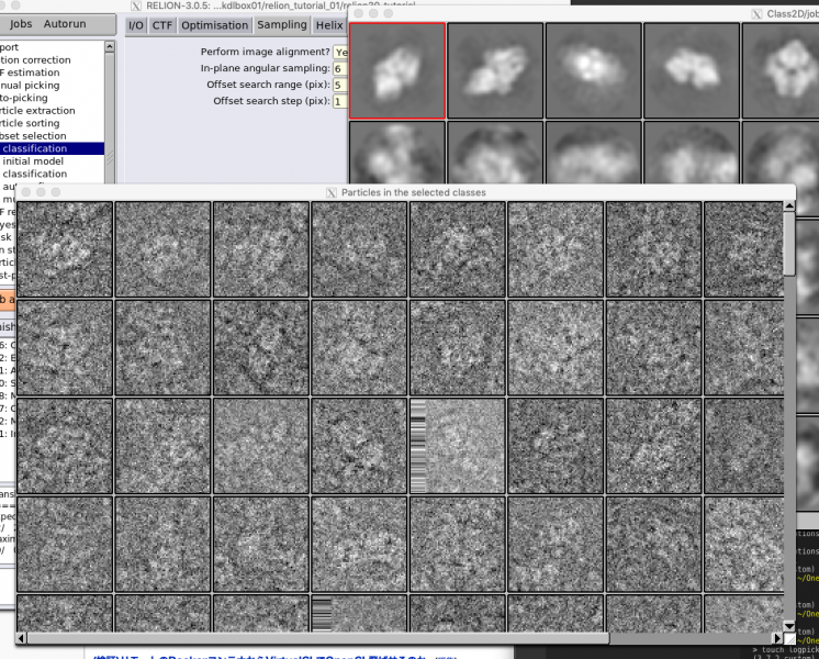 ファイル:rln-class2d-log-result2.png