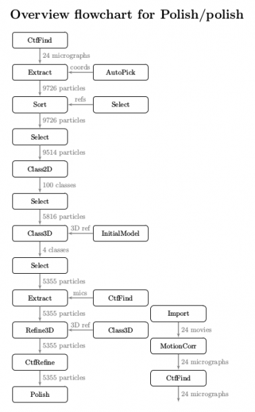 rln-flowchart-02.png