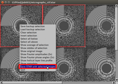 relion-AutoPicking-SubsetSelection-Display-2.png