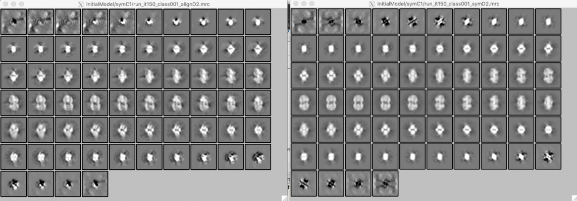 rln-sym-compare.png