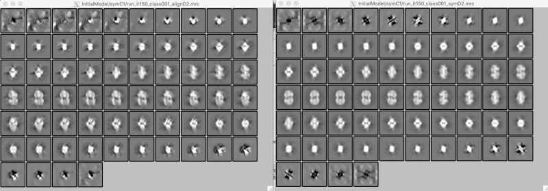ファイル:rln-sym-compare.png