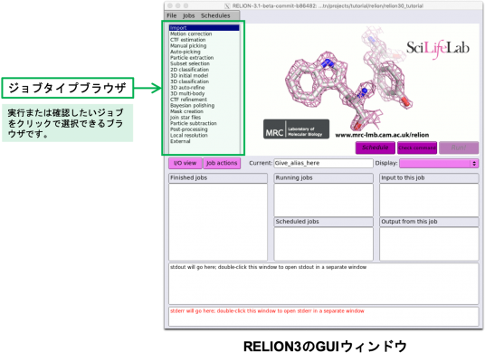 relion31-img001.png