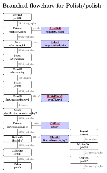 rln-flowchart-03.png