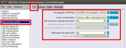 relion-ParticleExt-IO.png