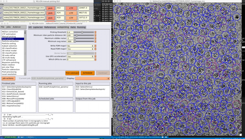 ファイル:rln-autopick-tune7.png