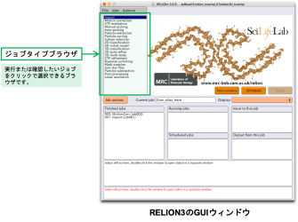 RELION3のGUIウィンドウ.png