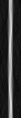 121p-shift-noise-0-60-0-sino.png