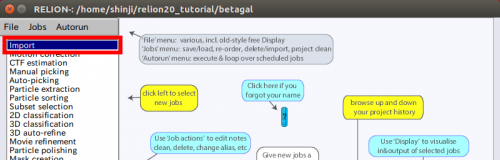 relion-import.png