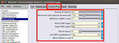 relion-AutoPicking-autopicking.png