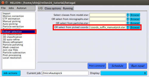 relion-AutoPicking-SubsetSelection-IO-1.png