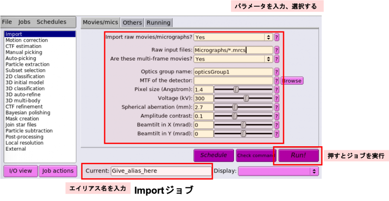 ファイル:relion31-img002.png