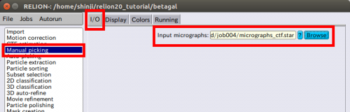 relion-ManualPicking-IO.png