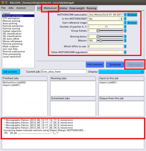 relion-motionCorrection-motioncorr.png